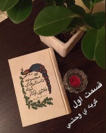مجموعه داستان‌های کوتاه فلانری اوکانر (گربه‌ی وحشی) - قسمت اول
